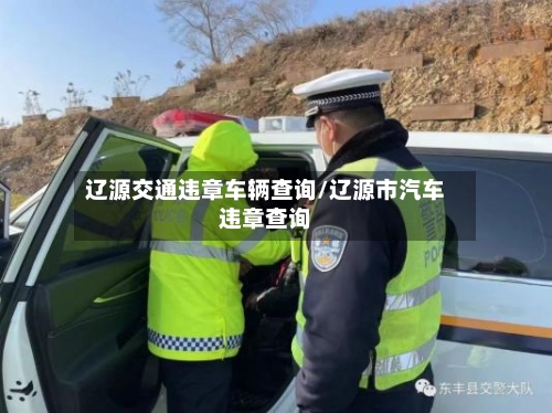 辽源交通违章车辆查询/辽源市汽车违章查询-第1张图片