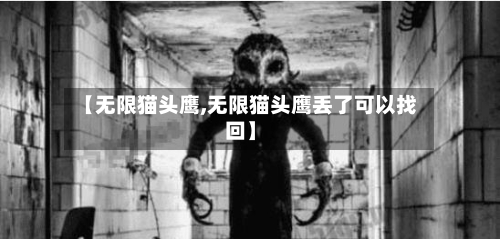 【无限猫头鹰,无限猫头鹰丢了可以找回】