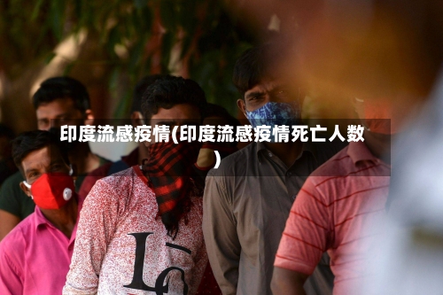 印度流感疫情(印度流感疫情死亡人数)-第2张图片