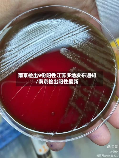 南京检出9份阳性江苏多地发布通知/南京检出阳性最新