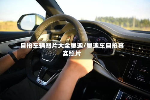 自拍车辆图片大全奥迪/奥迪车自拍真实照片