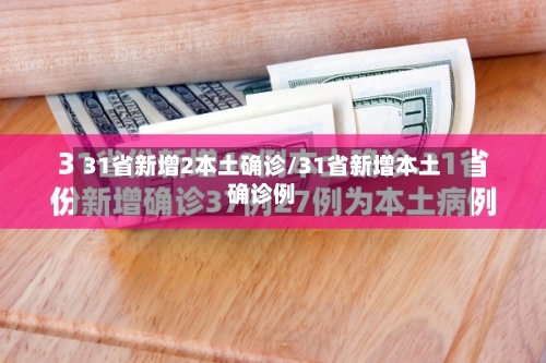 31省新增2本土确诊/31省新增本土确诊例