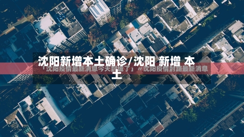 沈阳新增本土确诊/沈阳 新增 本土