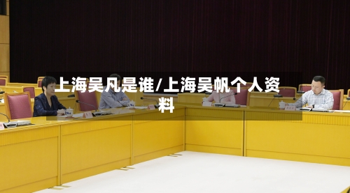 上海吴凡是谁/上海吴帆个人资料