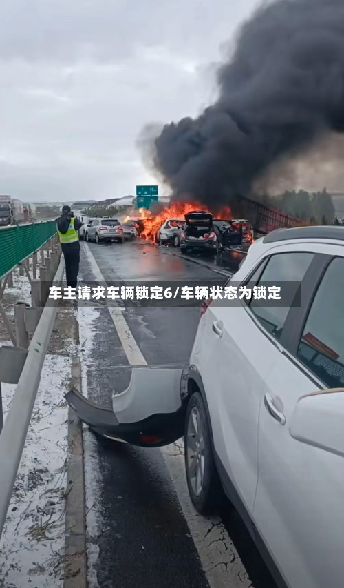 车主请求车辆锁定6/车辆状态为锁定