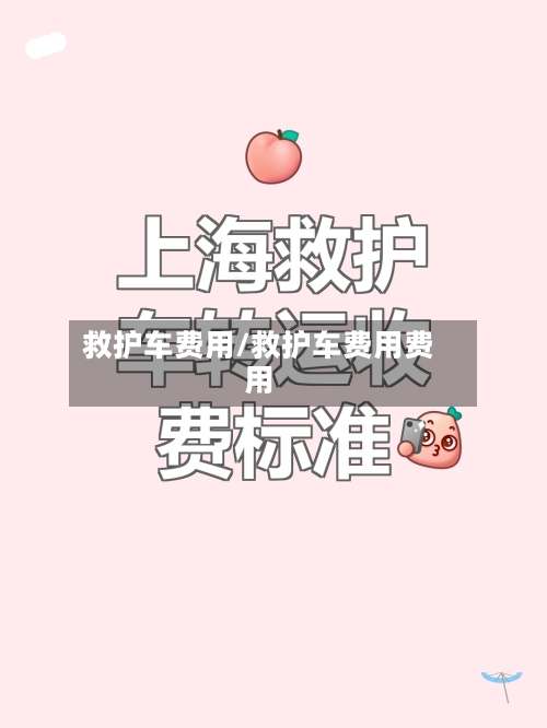 救护车费用/救护车费用费用-第3张图片
