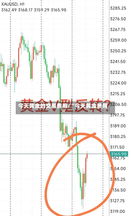 今天黄金的交易费用/“今天黄金费用”-第3张图片