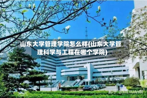 山东大学管理学院怎么样(山东大学管理科学与工程在哪个学院)-第2张图片