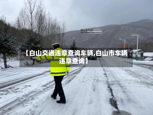 【白山交通违章查询车辆,白山市车辆违章查询】-第2张图片