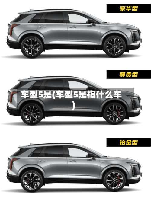 车型5是(车型5是指什么车)-第3张图片