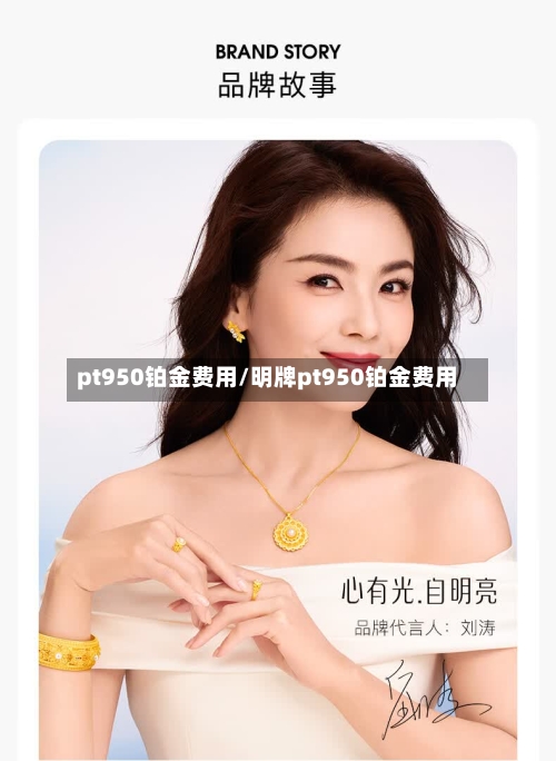 pt950铂金费用/明牌pt950铂金费用-第2张图片