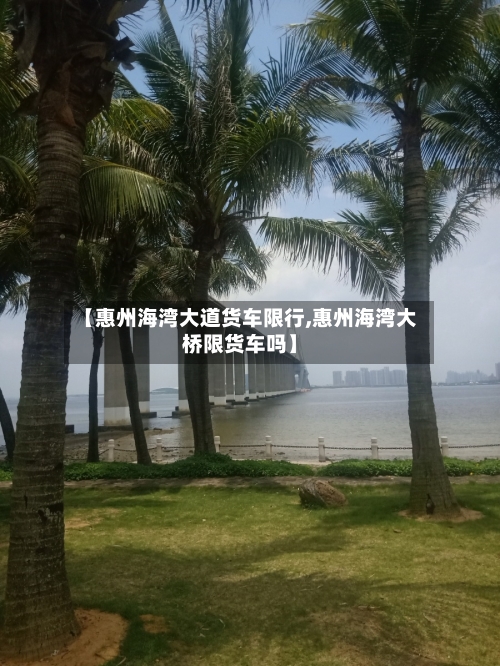 【惠州海湾大道货车限行,惠州海湾大桥限货车吗】-第2张图片