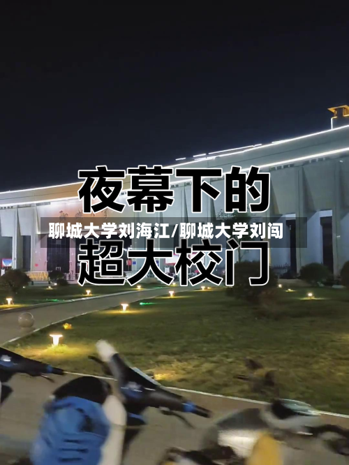 聊城大学刘海江/聊城大学刘闯