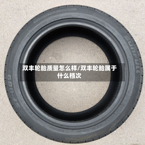 双丰轮胎质量怎么样/双丰轮胎属于什么档次-第2张图片
