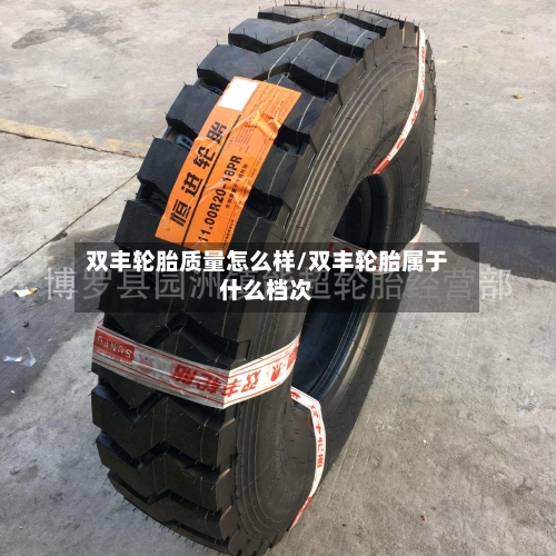 双丰轮胎质量怎么样/双丰轮胎属于什么档次