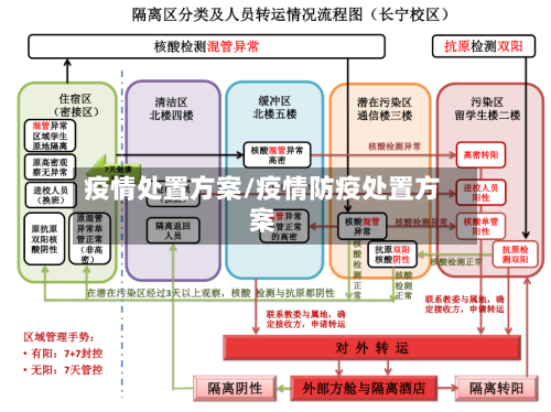 疫情处置方案/疫情防疫处置方案-第2张图片