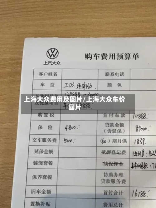 上海大众费用及图片/上海大众车价图片-第3张图片