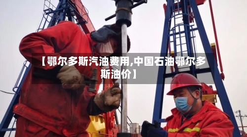 【鄂尔多斯汽油费用,中国石油鄂尔多斯油价】