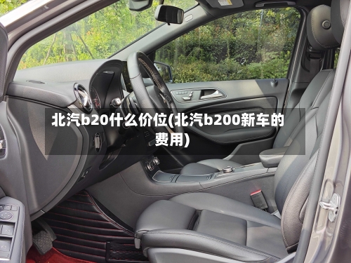 北汽b20什么价位(北汽b200新车的费用)-第3张图片