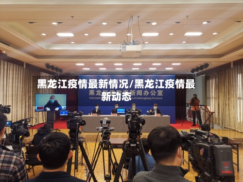 黑龙江疫情最新情况/黑龙江疫情最新动态-第2张图片