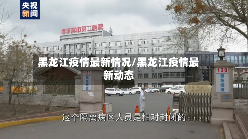 黑龙江疫情最新情况/黑龙江疫情最新动态