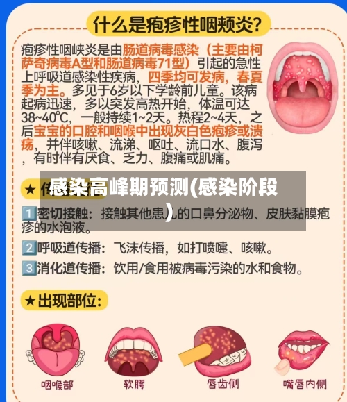 感染高峰期预测(感染阶段)