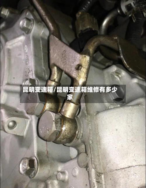 昆明变速箱/昆明变速箱维修有多少家