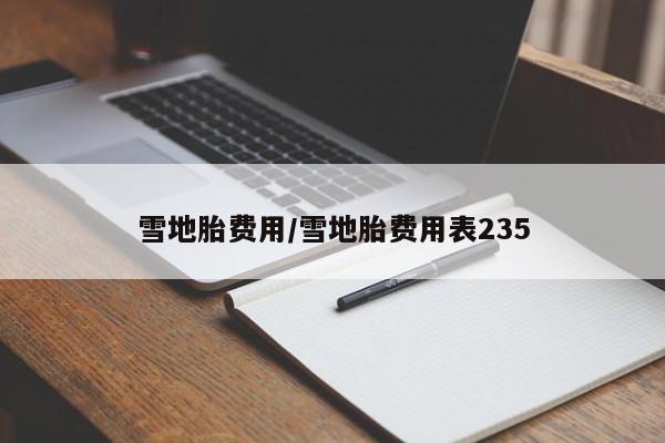 雪地胎费用/雪地胎费用表235