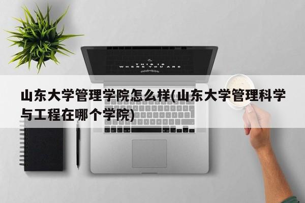 山东大学管理学院怎么样(山东大学管理科学与工程在哪个学院)