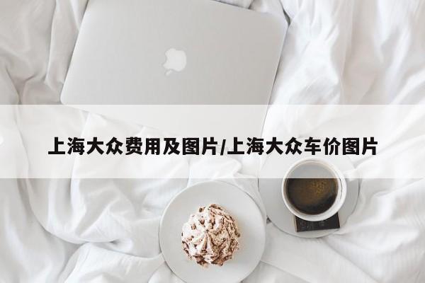 上海大众费用及图片/上海大众车价图片