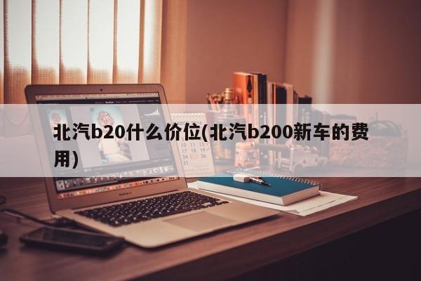 北汽b20什么价位(北汽b200新车的费用)